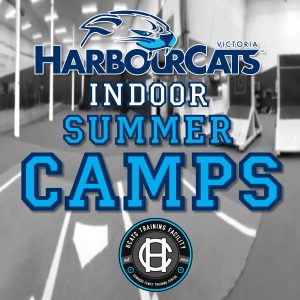 2. HarbourCats Summer 2026 Baseball Camps - INDOOR HALF-DAY Ages 8-11 Weekly July 7 - Aug 28