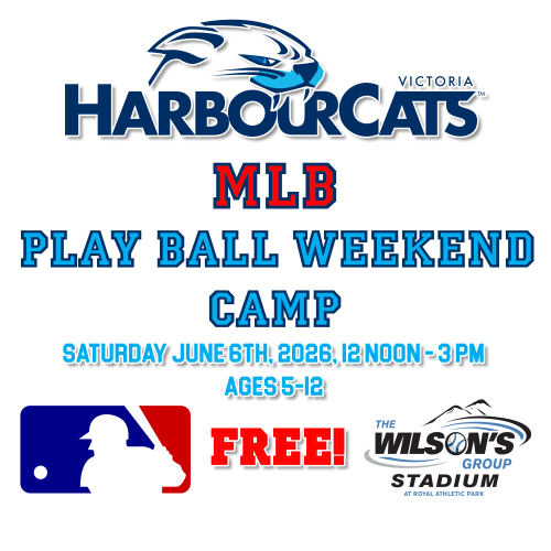 MLB PLAY BALL WEEKEND KIDS CAMP - JUNE 6, FREE ADMISSION!